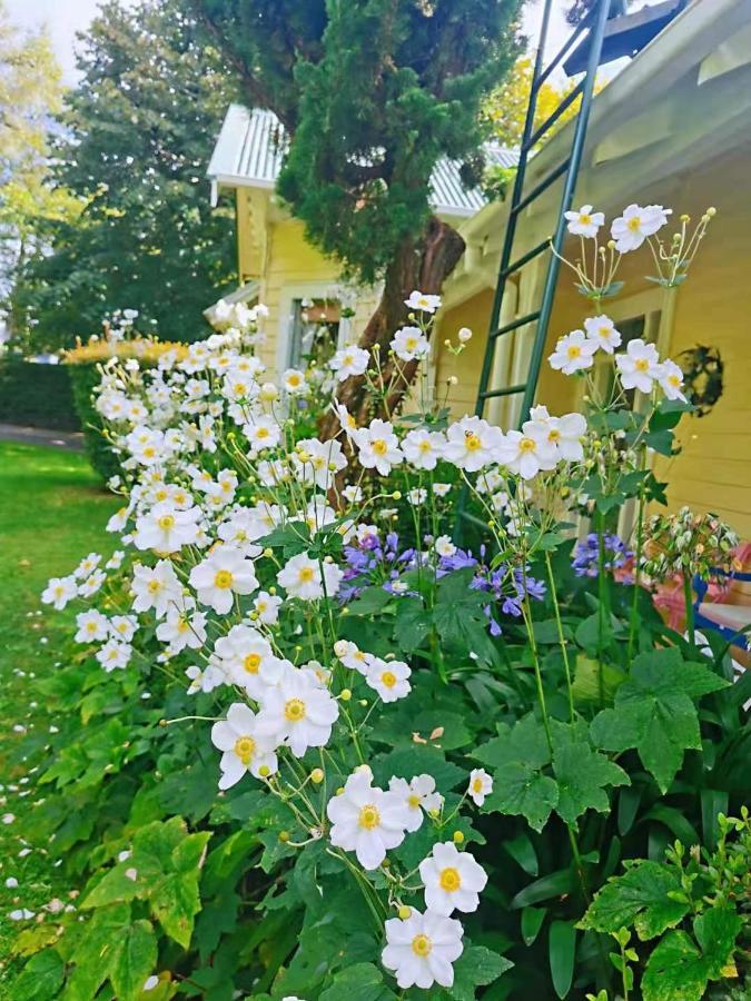 Country Villa Estate Ngongotaha Экстерьер фото