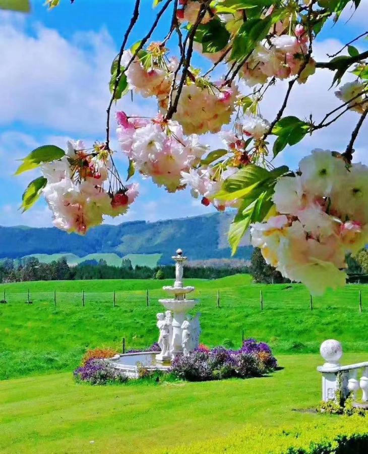 Country Villa Estate Ngongotaha Экстерьер фото