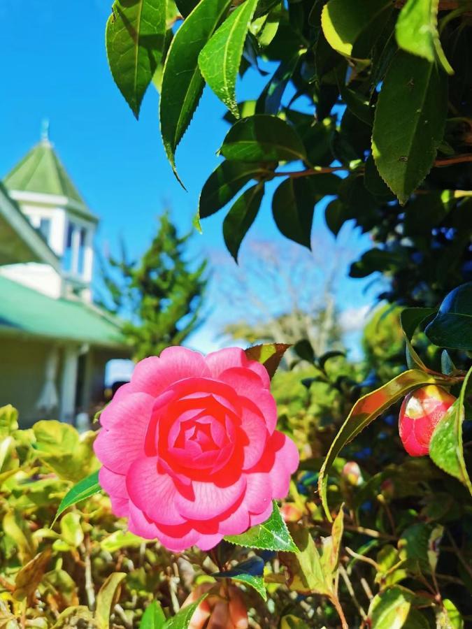 Country Villa Estate Ngongotaha Экстерьер фото