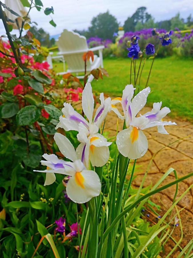 Country Villa Estate Ngongotaha Экстерьер фото