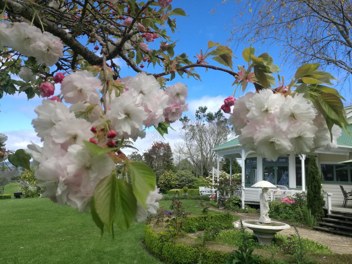 Country Villa Estate Ngongotaha Экстерьер фото